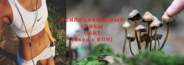 винт Киренск